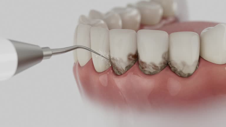 Reliable Dental contractor in Manassas Park, VA by Dentist Open Now